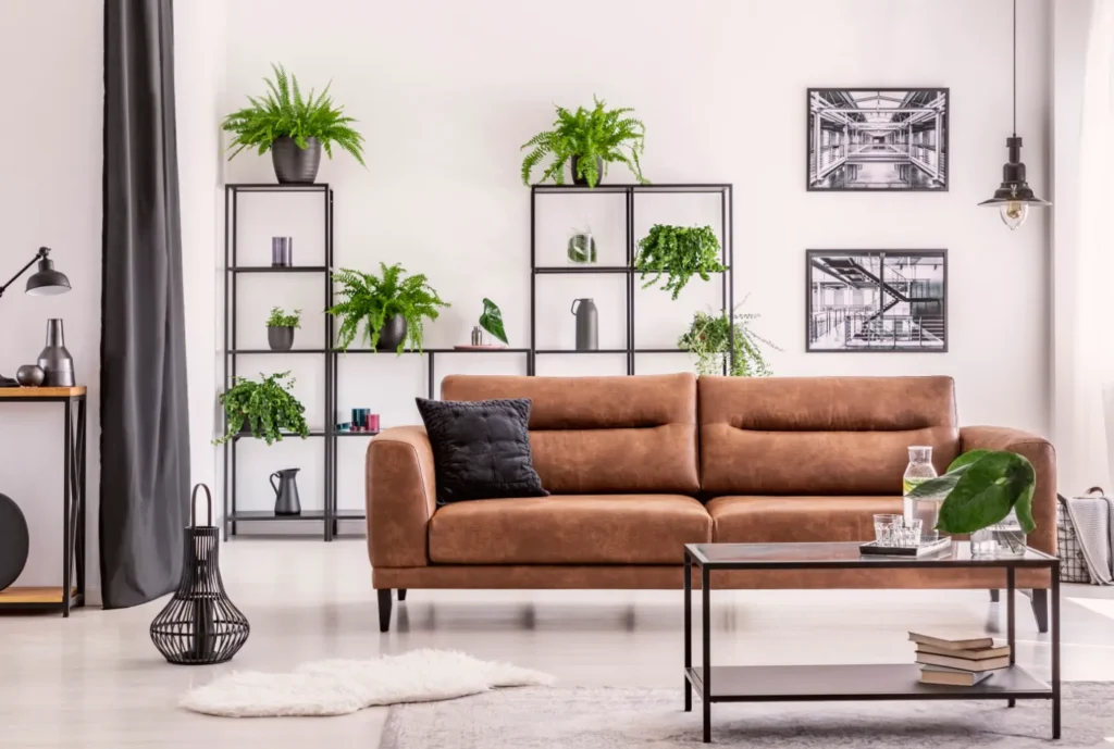 Full Home Design: Plants in Living Room Interior.